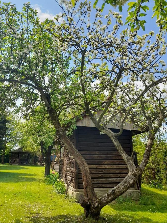 Agroturystyka Stokrotka Rymanów-Zdrój Екстериор снимка