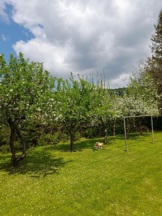 Agroturystyka Stokrotka Rymanów-Zdrój Екстериор снимка