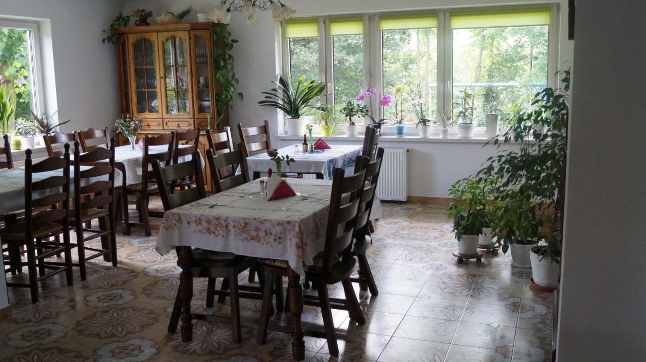 Agroturystyka Stokrotka Rymanów-Zdrój Екстериор снимка